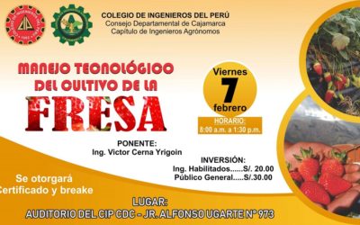 Curso: Manejo tecnológico del cultivo de la Fresa