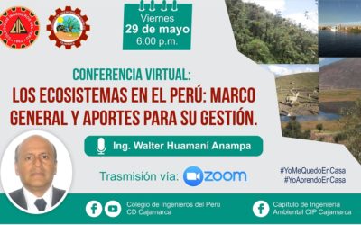 Los ecosistemas en el Perú: Concepto y marco general para su gestión