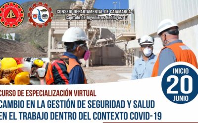 Curso Virtual: Cambio en la GSST dentro del contexto Covid-19