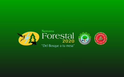 SEMANA FORETAL 2020: 3 y 4 de octubre