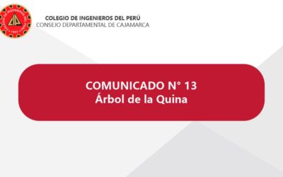 Comunicado N° 13 – En defensa del Árbol de la Quina