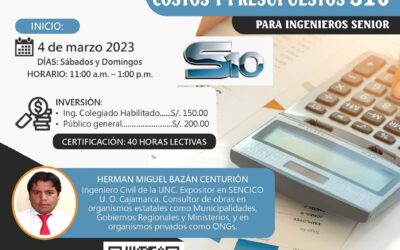 Curso virtual: “COSTOS Y PRESUPUESTOS CON S10 PARA INGENIEROS SENIOR”