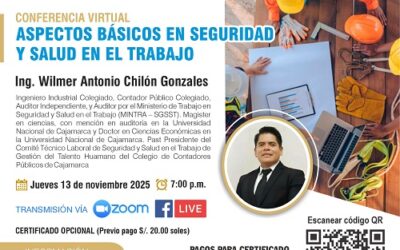 Conferencia Virtual: Aspectos básicos en seguridad y salud en el trabajo.
